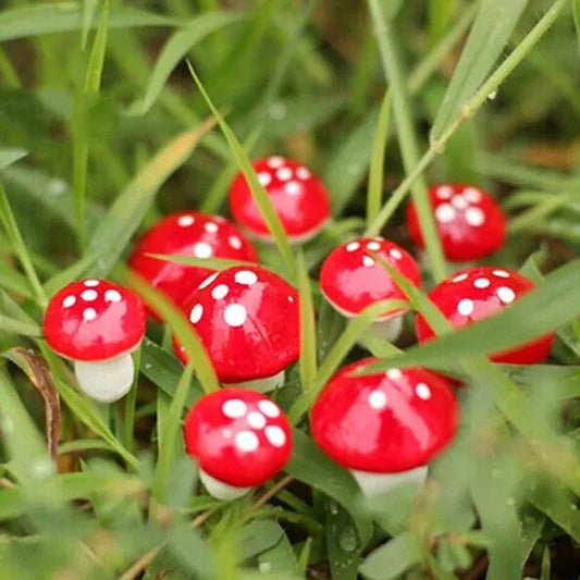 10Pcs/Set Artificial Mini Mushroom Miniatures Fairy Garden Moss Terrarium Resin Crafts Decorations Stakes Craft 2cm 3cm - Thrifty Delights