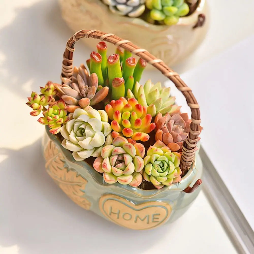 Corrosion-resistant Ceramic Succulent Planter With Handle Breathable Creative Flower Pot Decorative Nordic Flowerpot Ornament