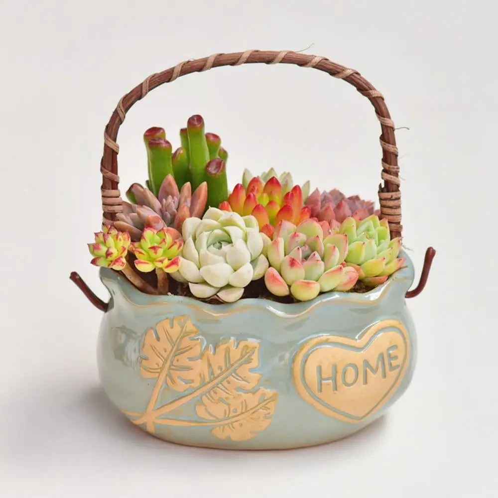 Corrosion-resistant Ceramic Succulent Planter With Handle Breathable Creative Flower Pot Decorative Nordic Flowerpot Ornament