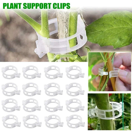Plant Clips Supports Reusable Plastic Connects Fixing Vine Tomato Stem Grafting Vegetable Plants Orchard and Garden Tools - Thrifty Delights
