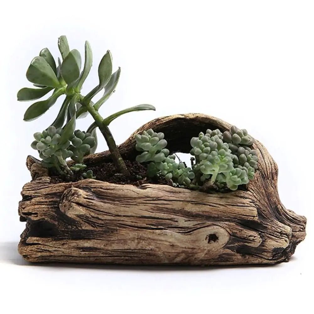 Tree - Shaped Resin Succulent Planter: Perfect for Any Space! - Thrifty Delights