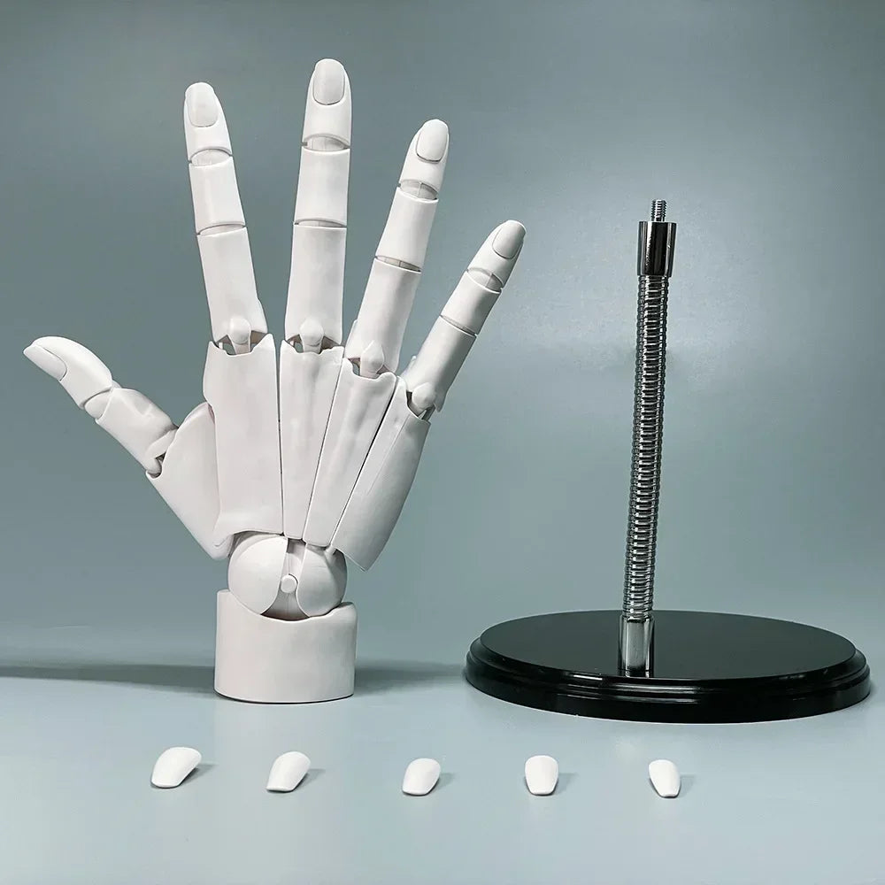 Articulated Drawing Hand Model - Adjustable Poseable Hand Mannequin