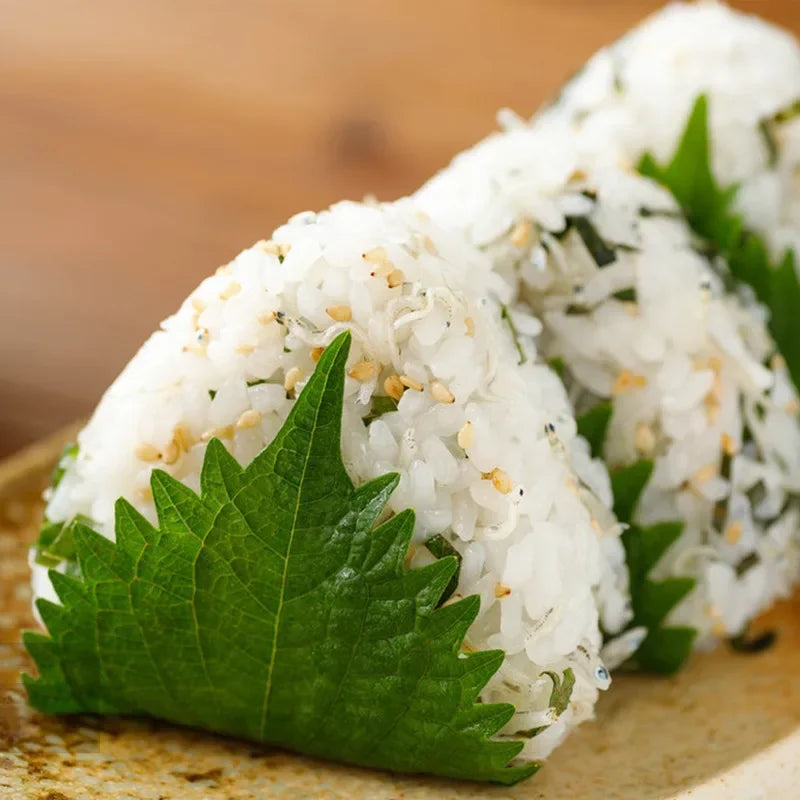 Easy Triangle Onigiri Maker & Sushi Rice Ball Mold for Bento Lunch