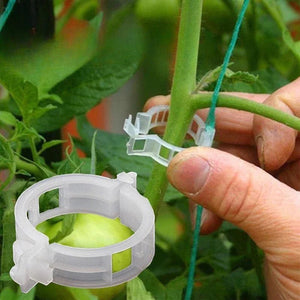 Plant Clips Supports Reusable Plastic Connects Fixing Vine Tomato Stem Grafting Vegetable Plants Orchard and Garden Tools - Thrifty Delights