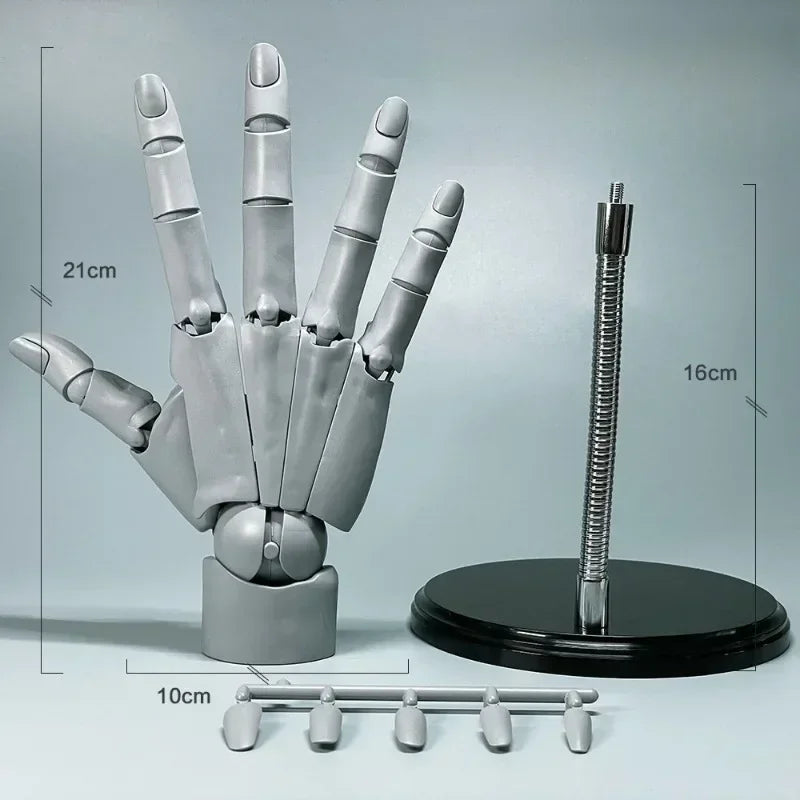 Articulated Drawing Hand Model - Adjustable Poseable Hand Mannequin