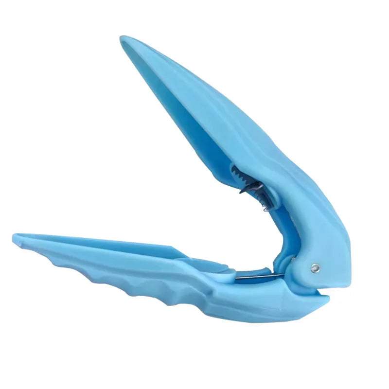 Stainless Steel Chestnut Peeler & Walnut Nut Cracker Clip for Kitchen