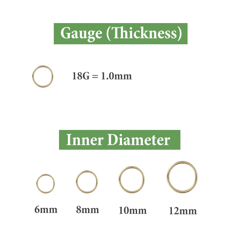 Seamless 316L Stainless Steel Gold Hoop Piercing Jewelry (2-6PCS)