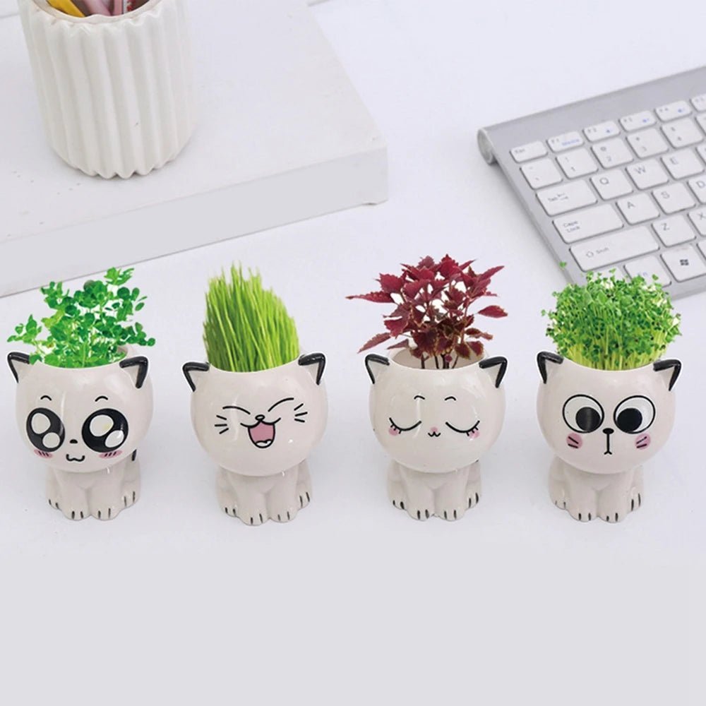 1pc Ceramic Flowerpot Mini Cat Cartoon Cute Plant Desktop Potted Plant Pot DIY Decorate Toys Science Education School Gifts - Thrifty Delights