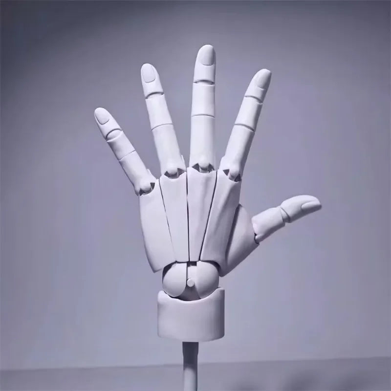 Articulated Drawing Hand Model - Adjustable Poseable Hand Mannequin