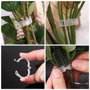 Plant Clips Supports Reusable Plastic Connects Fixing Vine Tomato Stem Grafting Vegetable Plants Orchard and Garden Tools - Thrifty Delights