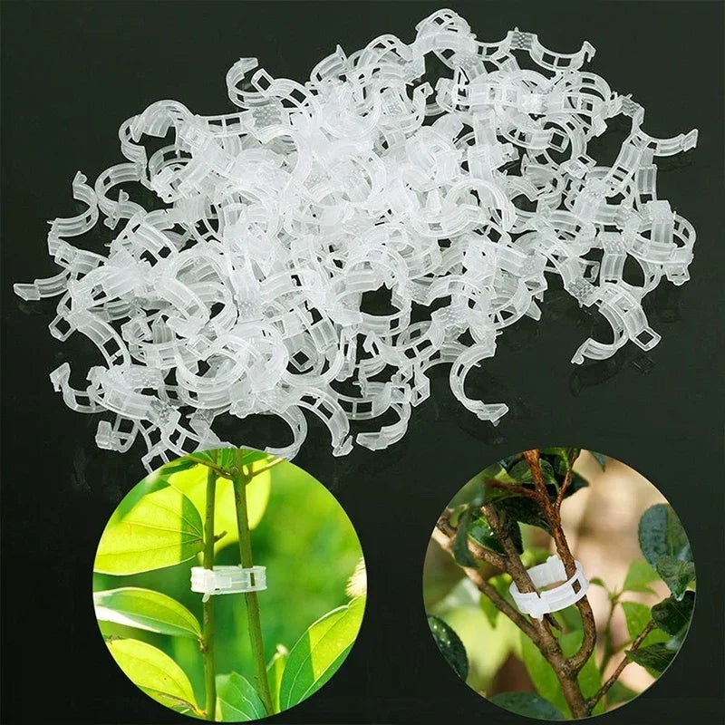 Plant Clips Supports Reusable Plastic Connects Fixing Vine Tomato Stem Grafting Vegetable Plants Orchard and Garden Tools - Thrifty Delights