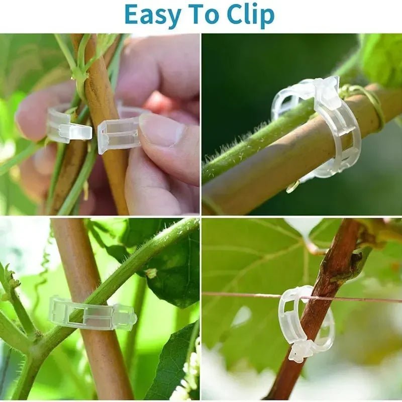 Plant Clips Supports Reusable Plastic Connects Fixing Vine Tomato Stem Grafting Vegetable Plants Orchard and Garden Tools - Thrifty Delights