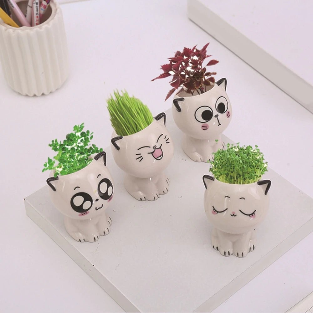 1pc Ceramic Flowerpot Mini Cat Cartoon Cute Plant Desktop Potted Plant Pot DIY Decorate Toys Science Education School Gifts - Thrifty Delights